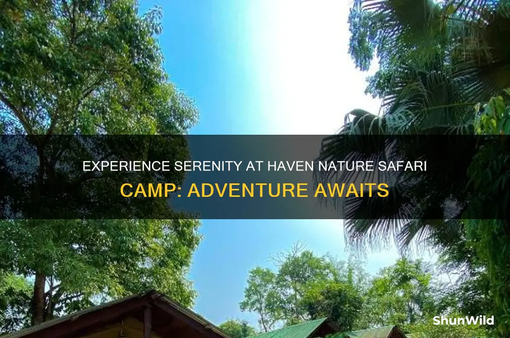 haven nature safari camp