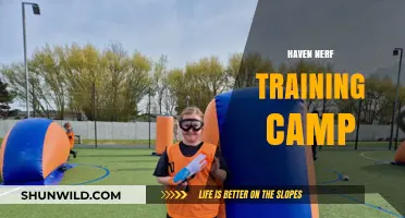 Master Haven Nerf Strategies at the Ultimate Training Camp