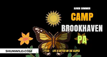 Discover Fun and Adventure at Haven Summer Camp Brookhaven PA