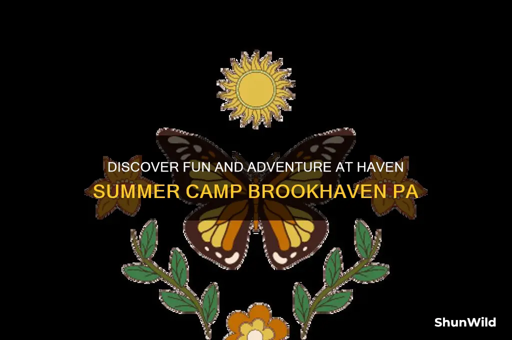 haven summer camp brookhaven pa