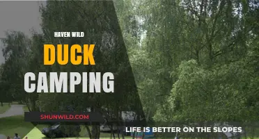 Haven Wild Duck Camping: Nature's Serenity Meets Outdoor Adventure