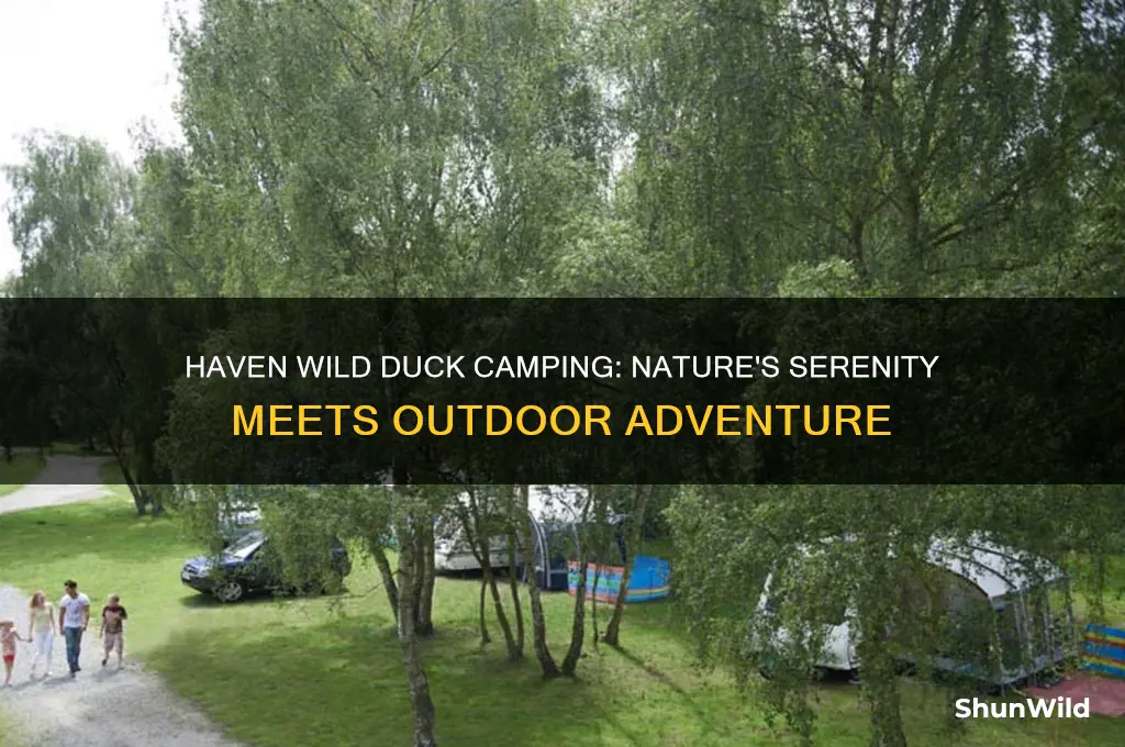 haven wild duck camping