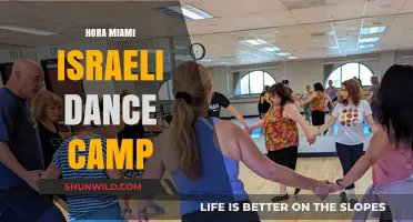 Experience Hora Miami: Israeli Dance Camp for Enthusiasts of All Levels