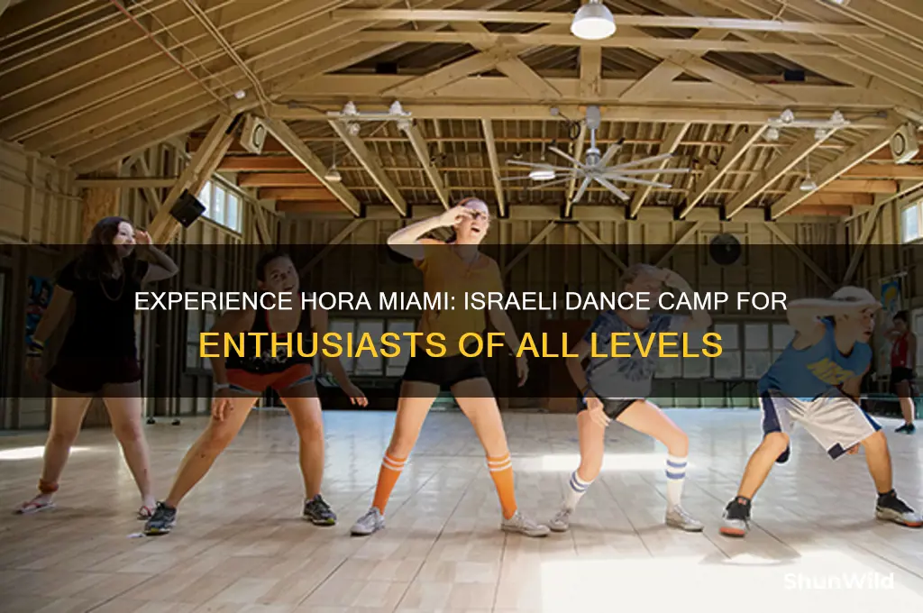 hora miami israeli dance camp