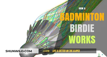 The Science Behind a Badminton Birdie's Flight