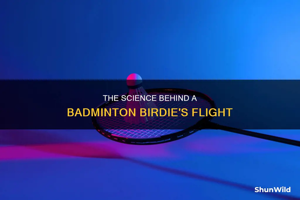 how a badminton birdie works