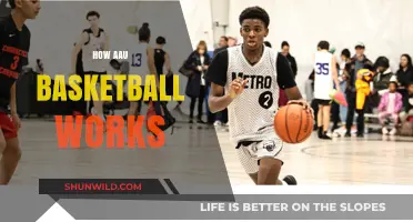 The Ins and Outs of AAU Basketball