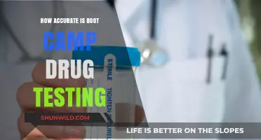 Boot Camp Drug Testing Accuracy: Myths vs. Reality