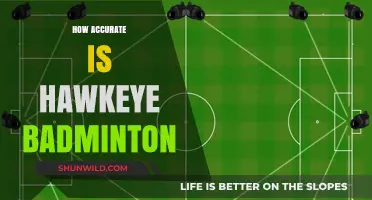 Hawkeye Badminton: Unerringly Accurate?