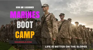 Understanding the Process of Marine Corps Boot Camp Assignments