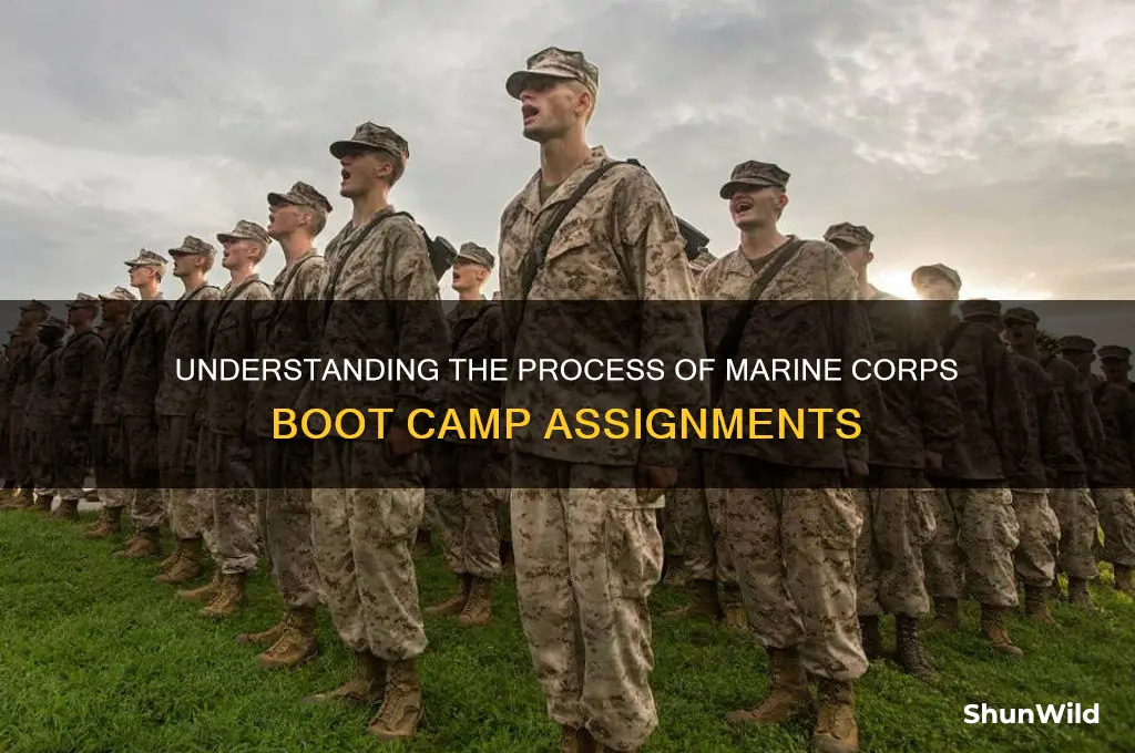 how am i assigned marines boot camp