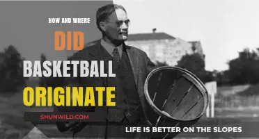 The Evolution of Basketball: Its Origin Story