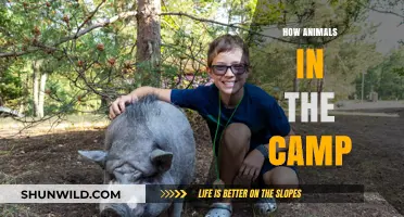 Wild Neighbors: Exploring How Animals Thrive in Camp Environments