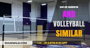 Badminton and Volleyball: Similarities in Court Sports