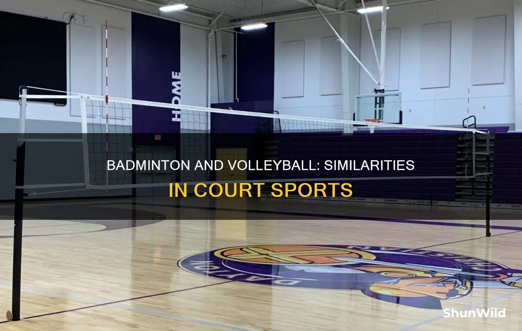 how are badminton and volleyball similar