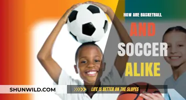 Two Popular Sports: Basketball and Soccer Similarities