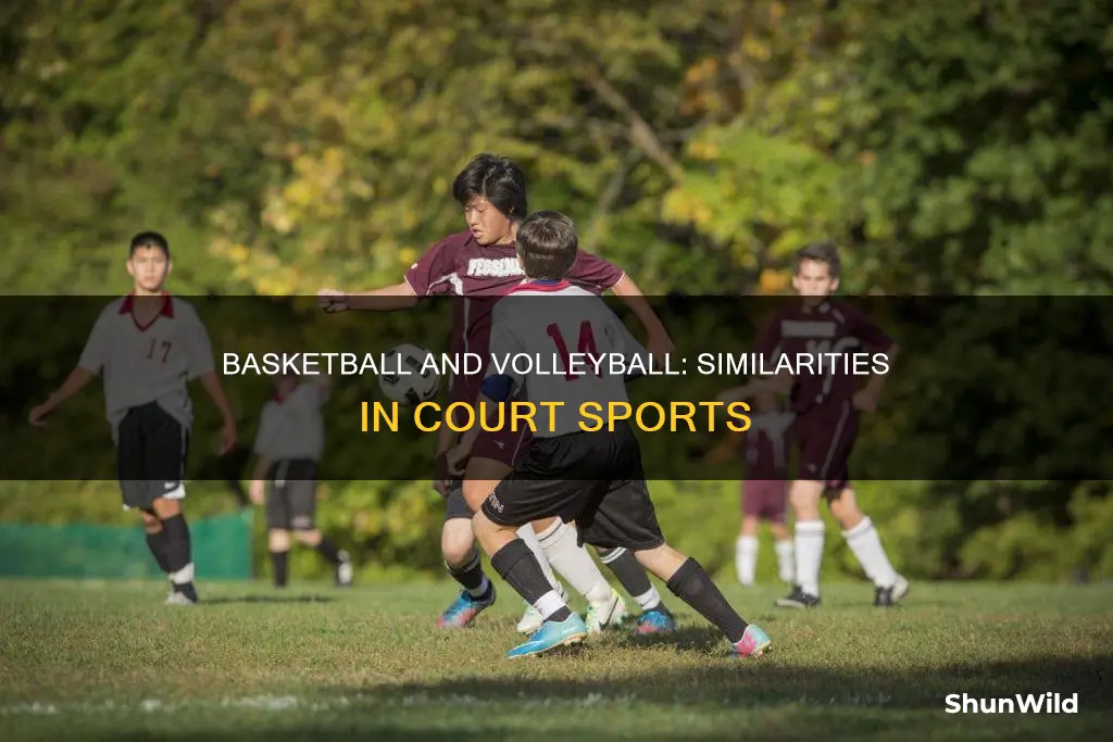 how are basketball and volleyball alike