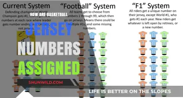 Jersey Numbers: Allocation and Significance in Basketball