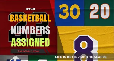 Basketball Numbering: How are Jersey Numbers Assigned?