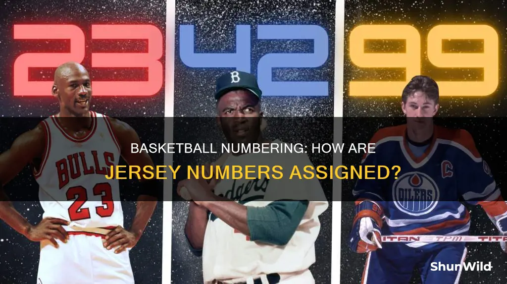 how are basketball numbers assigned