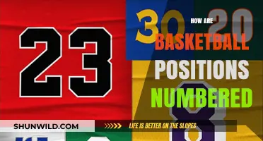 Basketball Positions: Numbering System Explained