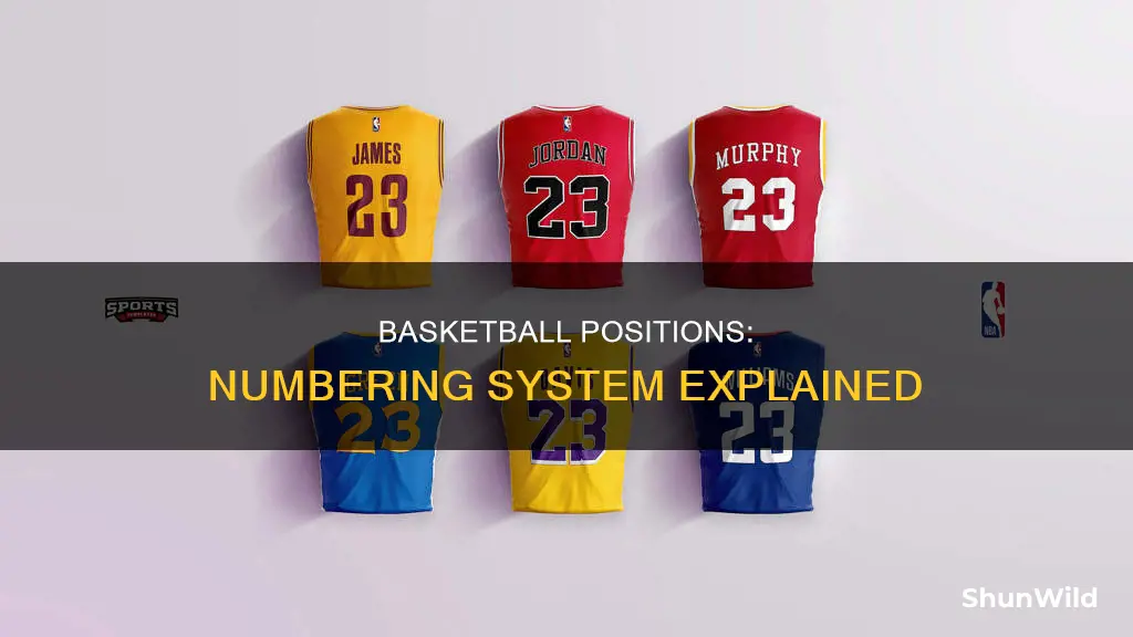 how are basketball positions numbered