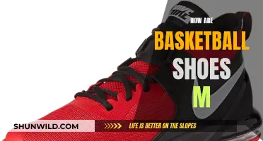 The Evolution of Basketball Shoes: From Court to Culture