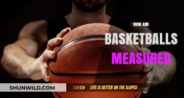 The Science of Basketball: Size and Measurements