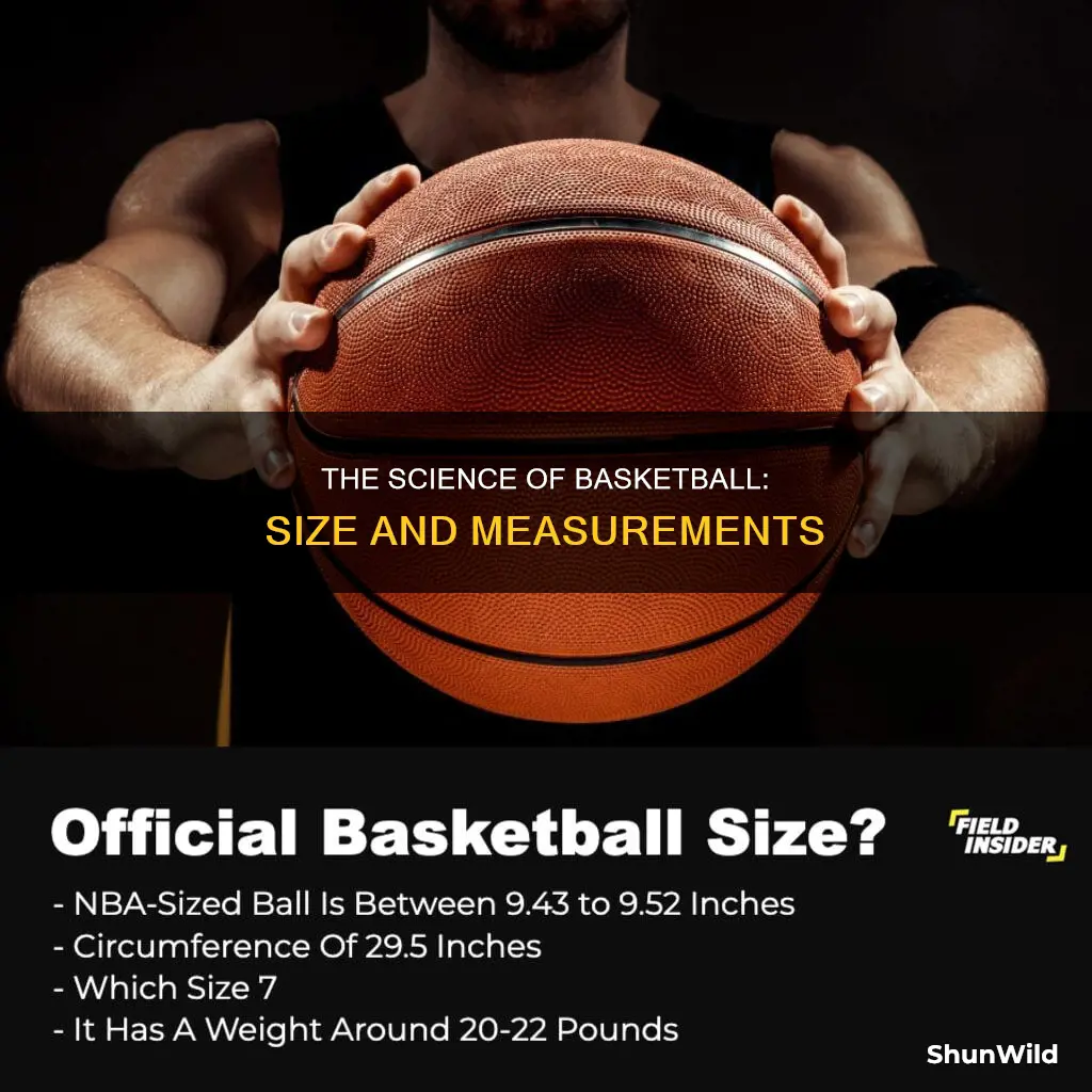 how are basketballs measured