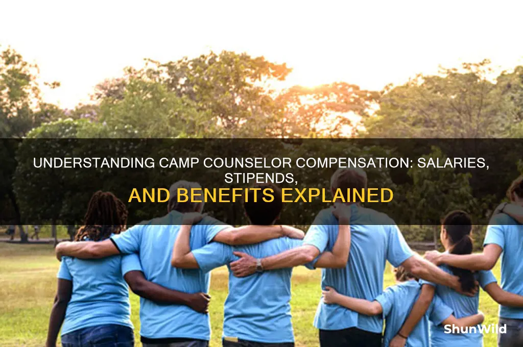 how are camp counselors paid