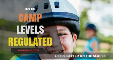 Regulating Camp Levels: Ensuring Safety and Quality Standards for Campers