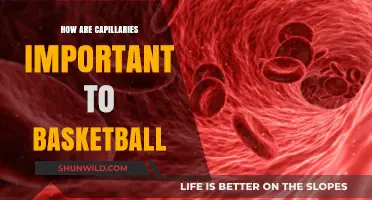 Capillary Action: Basketball Performance's Hidden Key