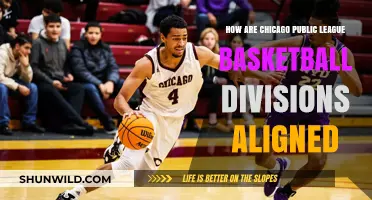 Chicago Public League Basketball: Division Alignment Explained