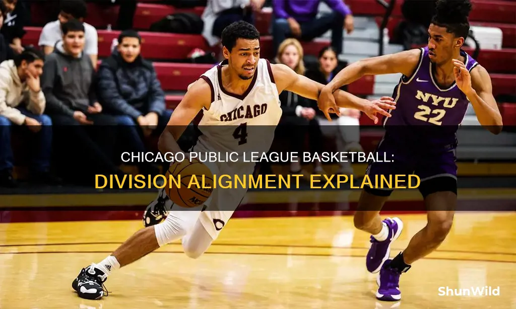 how are chicago public league basketball divisions aligned