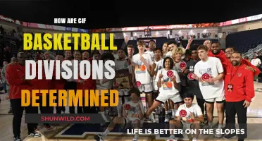 Basketball Divisions: CIF Determination Factors