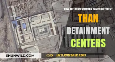 Concentration Camps vs. Detainment Centers: Key Differences Explained