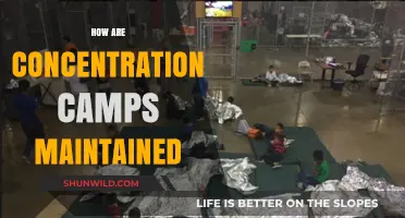 Maintaining Concentration Camps: Logistics, Control, and Human Suffering Explained