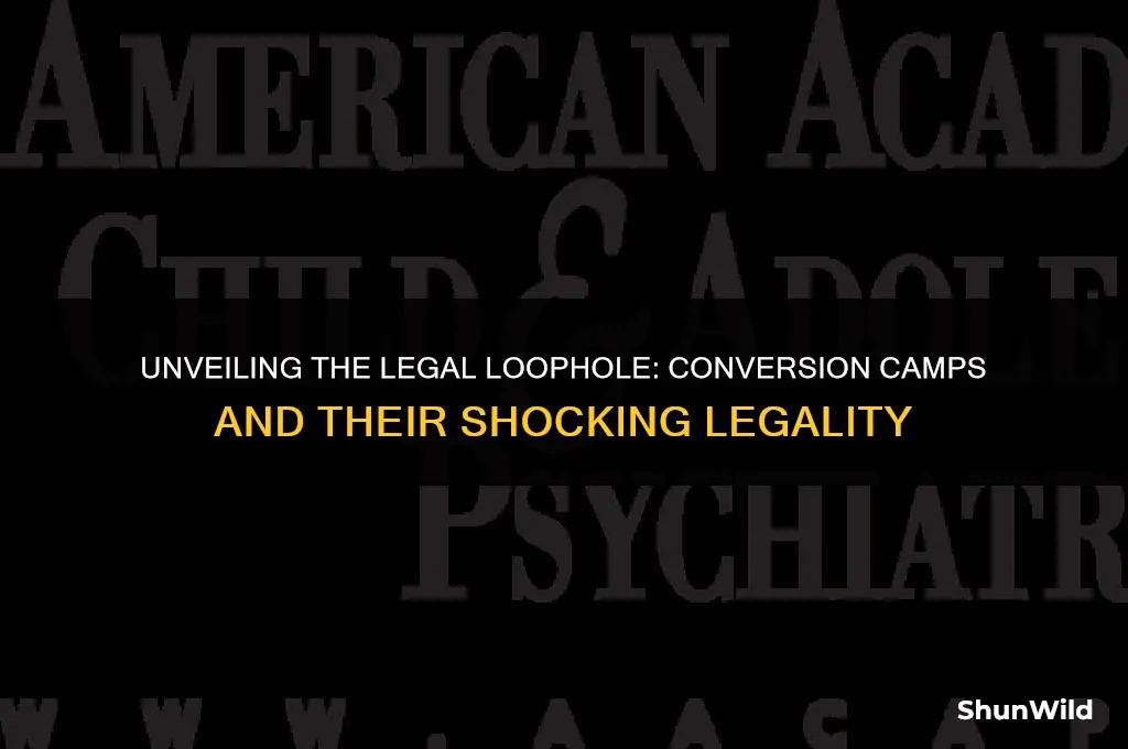 how are conversion camps legal
