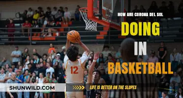 Corona Del Sol's Basketball Team: A Season Review