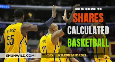 Defensive Win Shares Calculation: Basketball Strategy and Player Impact