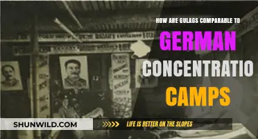 Gulags vs. German Camps: Parallels in Oppression and Human Suffering
