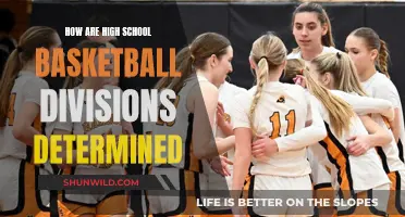Basketball Divisions: High School Determinants and Their Influence