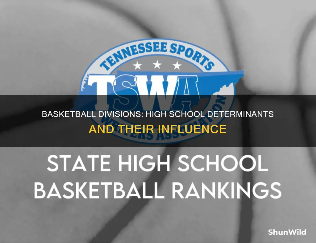 how are high school basketball divisions determined