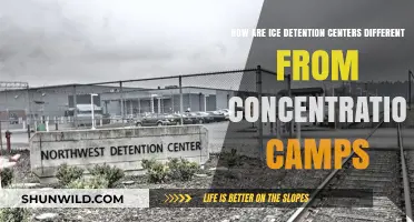 Detention vs. Concentration: Key Differences in ICE Facilities Explained