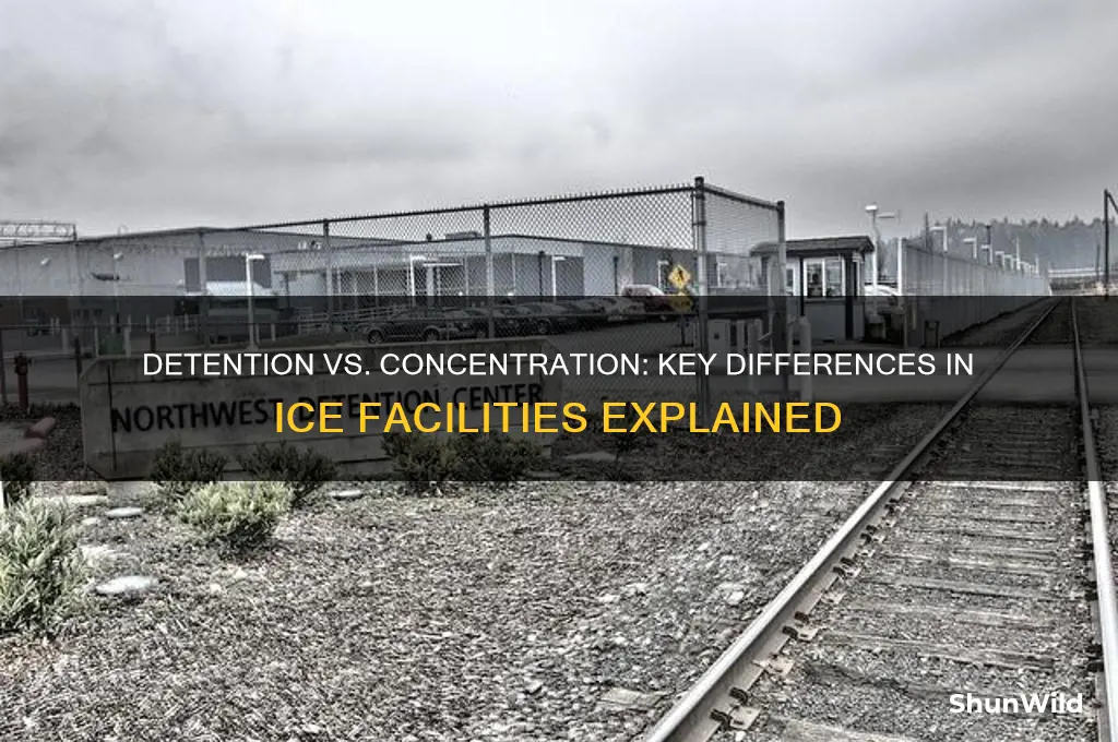 how are ice detention centers different from concentration camps