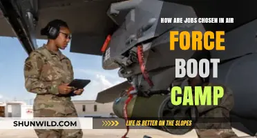 Air Force Boot Camp Job Assignments: How Are Careers Determined?