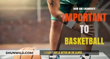 Ligaments: The Key to Agility in Basketball