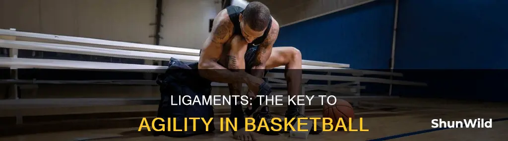 how are ligaments important to basketball