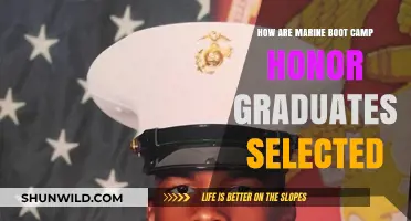 Marine Boot Camp Honor Graduates: Selection Criteria and Process Explained