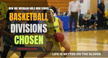 Michigan High School Girls Basketball Divisions: How Are They Chosen?